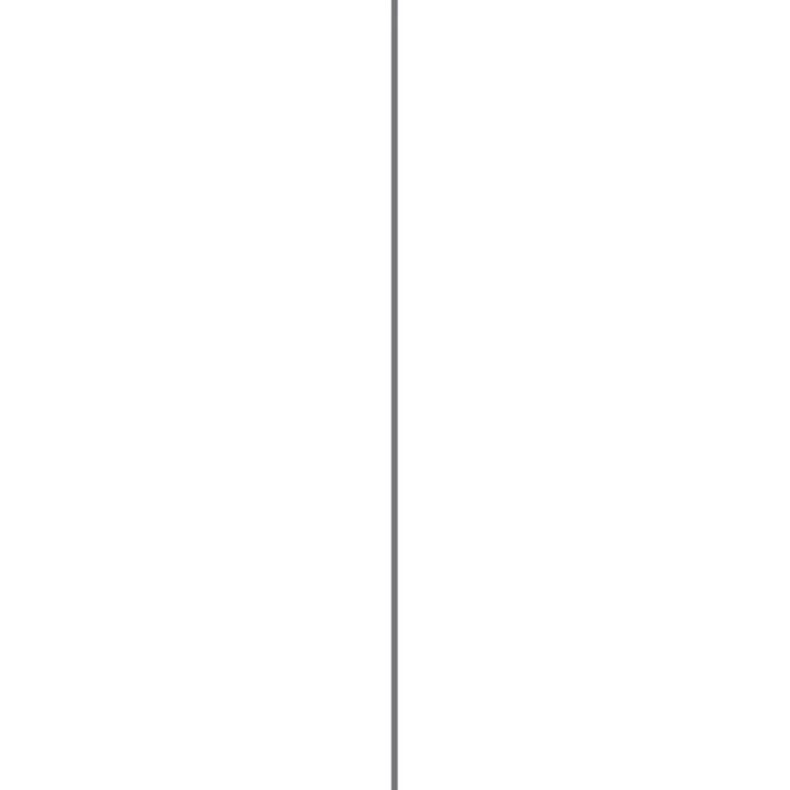 Afdekprofiel kunststof antraciet 2x30 mm 260 cm