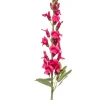 Antirrhinum spray beauty 78cm