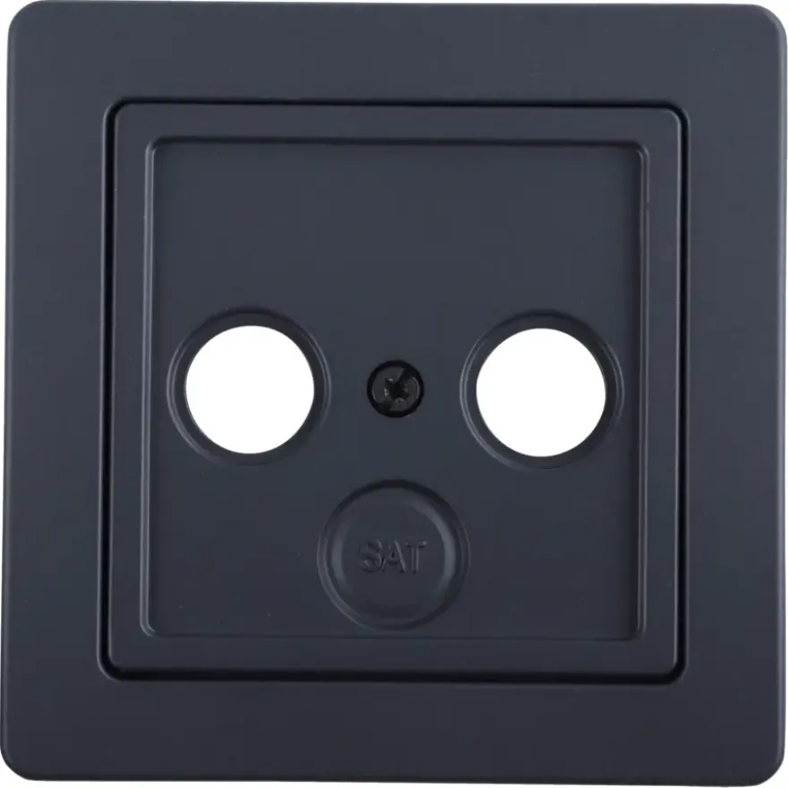 Berker Q1 Centraalplaat Radio/TV Antraciet
