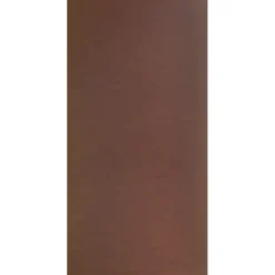 Betonplex plaat 250 x 125 cm 18 mm