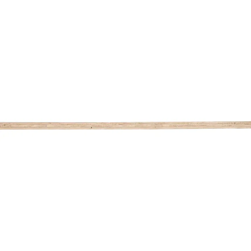 Betonplex 125x62,5 cm dikte 18 mm