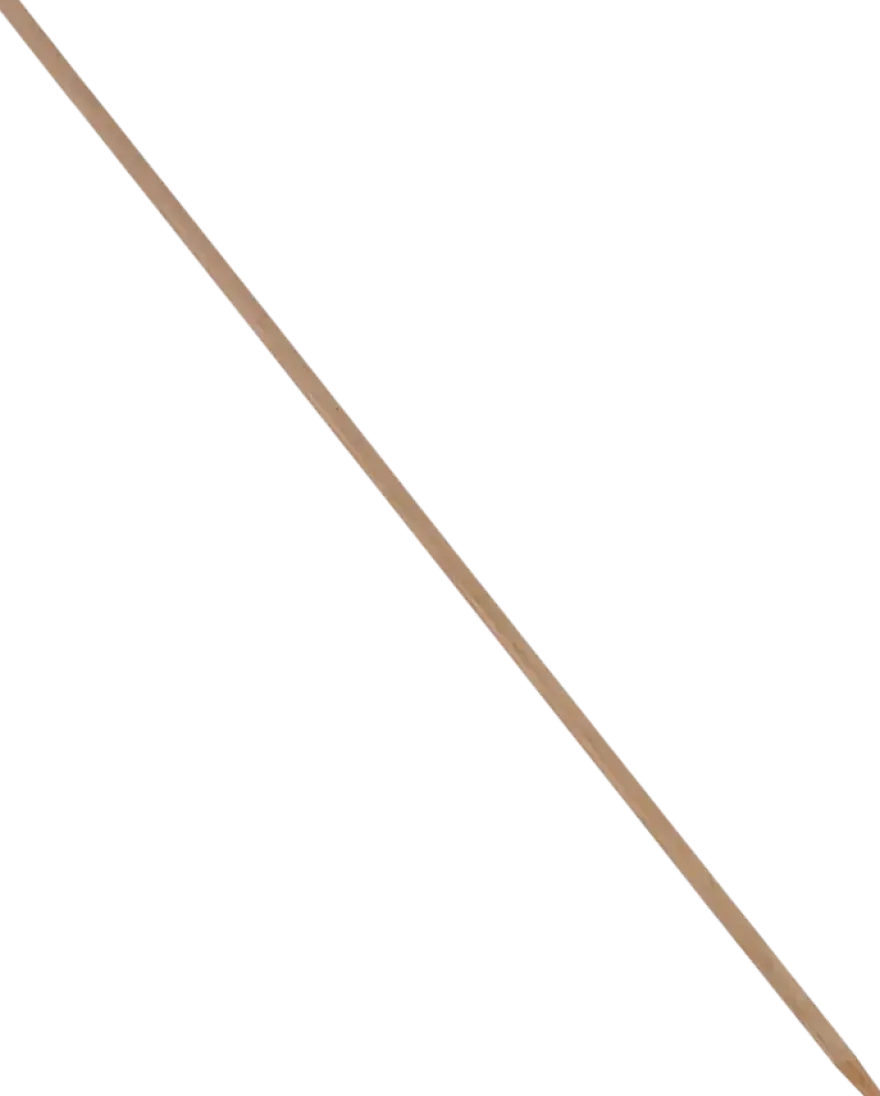 Bezemsteel hout 120 cm
