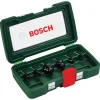 Bosch frezenset (6-delig)
