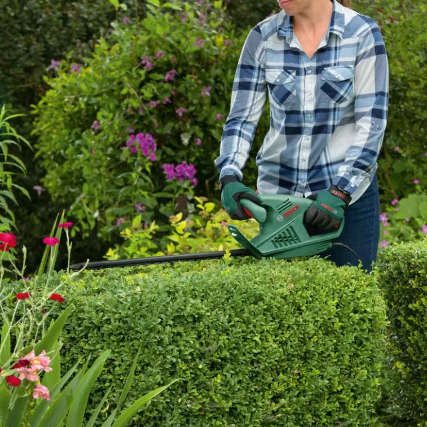 Bosch heggenschaar EasyHedgeCut 55cm