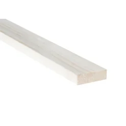Bouwhout ruw vuren 16x50 mm lengte 270 cm
