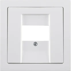 Busch-Jaeger Future Linear Afdekplaat USB Wit
