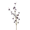 Callicarpa spray paars 97cm