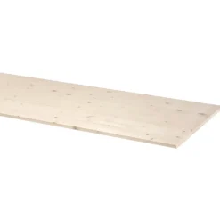 CanDo timmerpaneel 200x60 cm dikte 18 mm