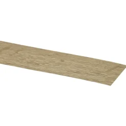 CanDo Traprenovatie Kantlaminaat Licht Eiken 40x6 cm - 2 Stuks