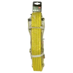 Carpoint extra brede spanband met ratel en haken 9m