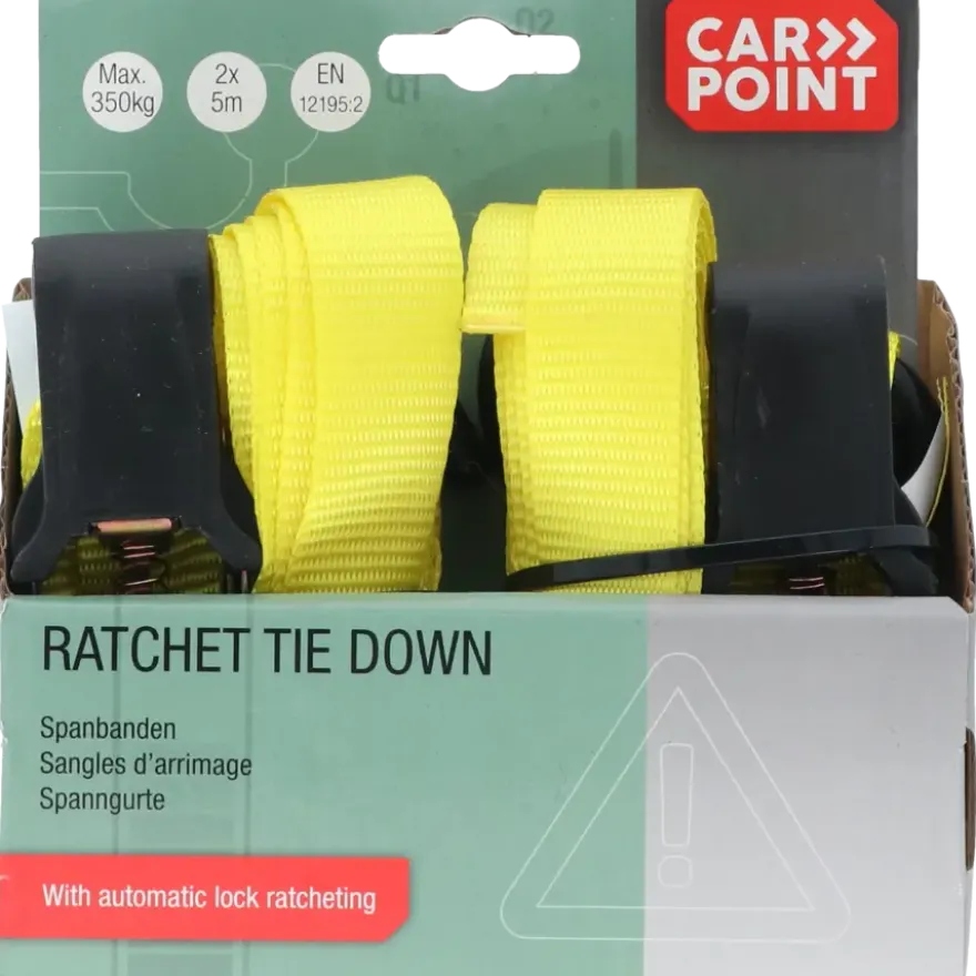 Carpoint Spanbandenset luxe met ratel 2 x 5 meter