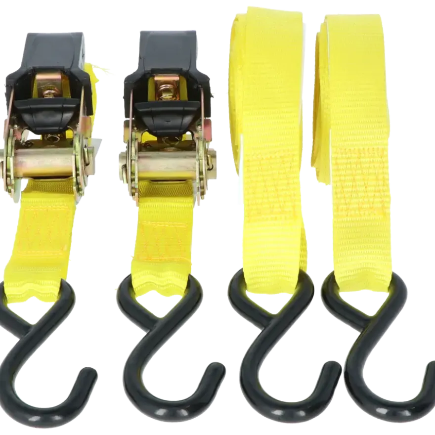 Carpoint Spanbandenset luxe met ratel 2 x 5 meter