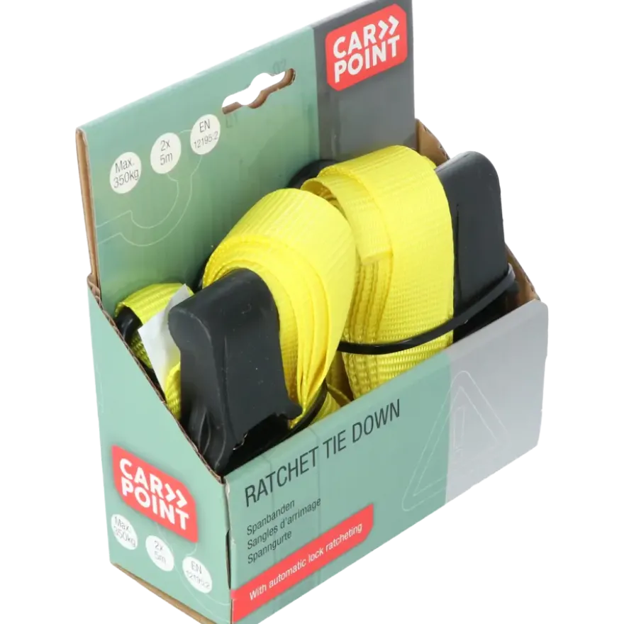 Carpoint Spanbandenset luxe met ratel 2 x 5 meter