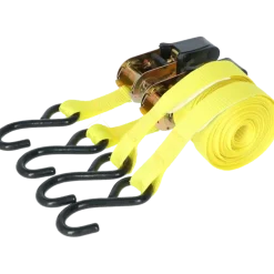 Carpoint Spanbandenset luxe met ratel 2 x 5 meter