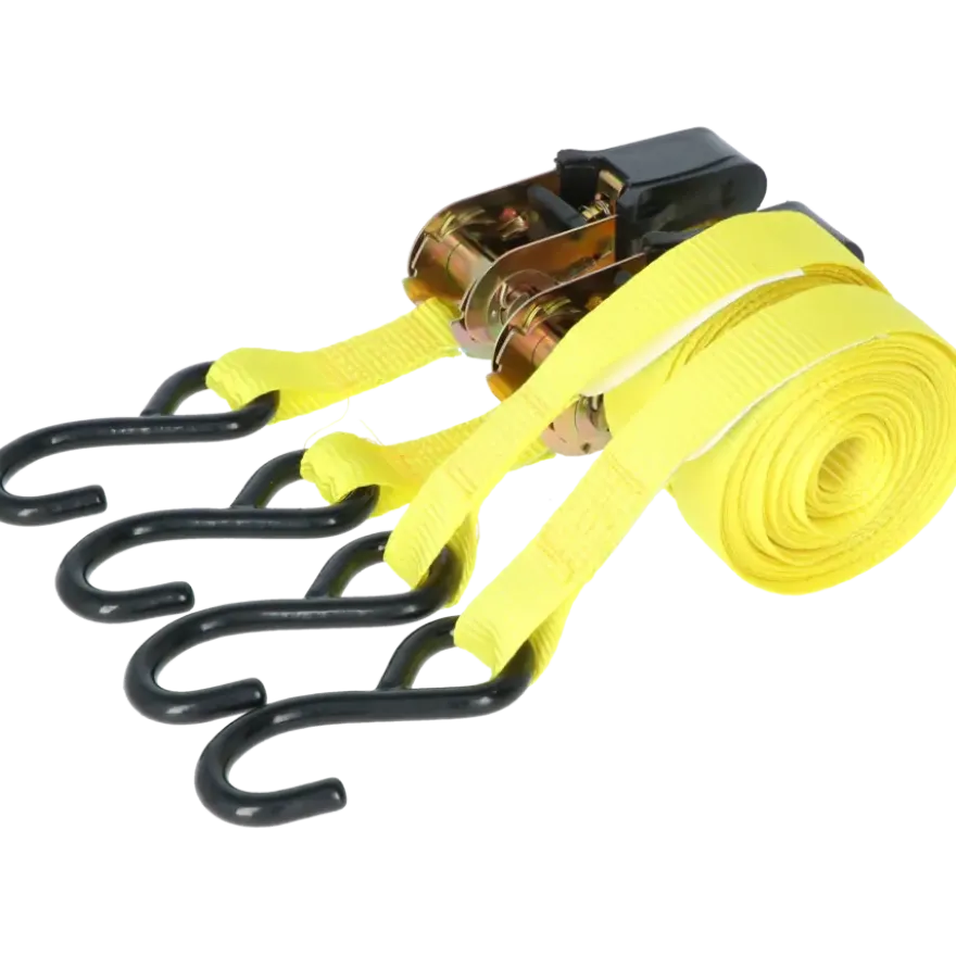 Carpoint Spanbandenset luxe met ratel 2 x 5 meter