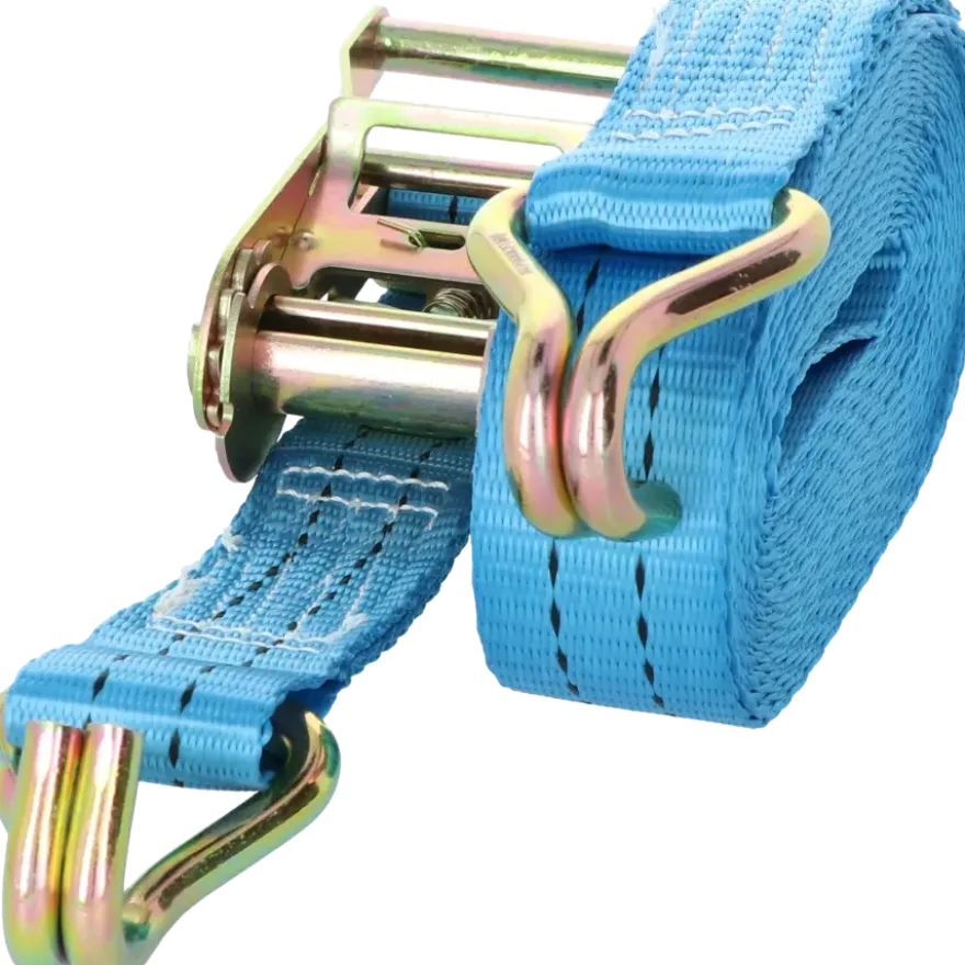 Carpoint Spanband met Ratel en Haken 5 Meter