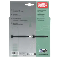 Carpoint Spanband met Ratel en Haken 5 Meter