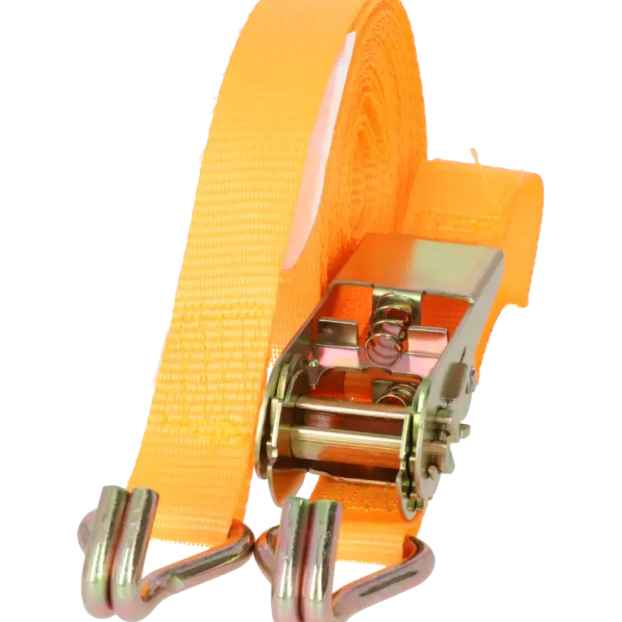 Carpoint Spanband met Ratel en Haken 3 Meter