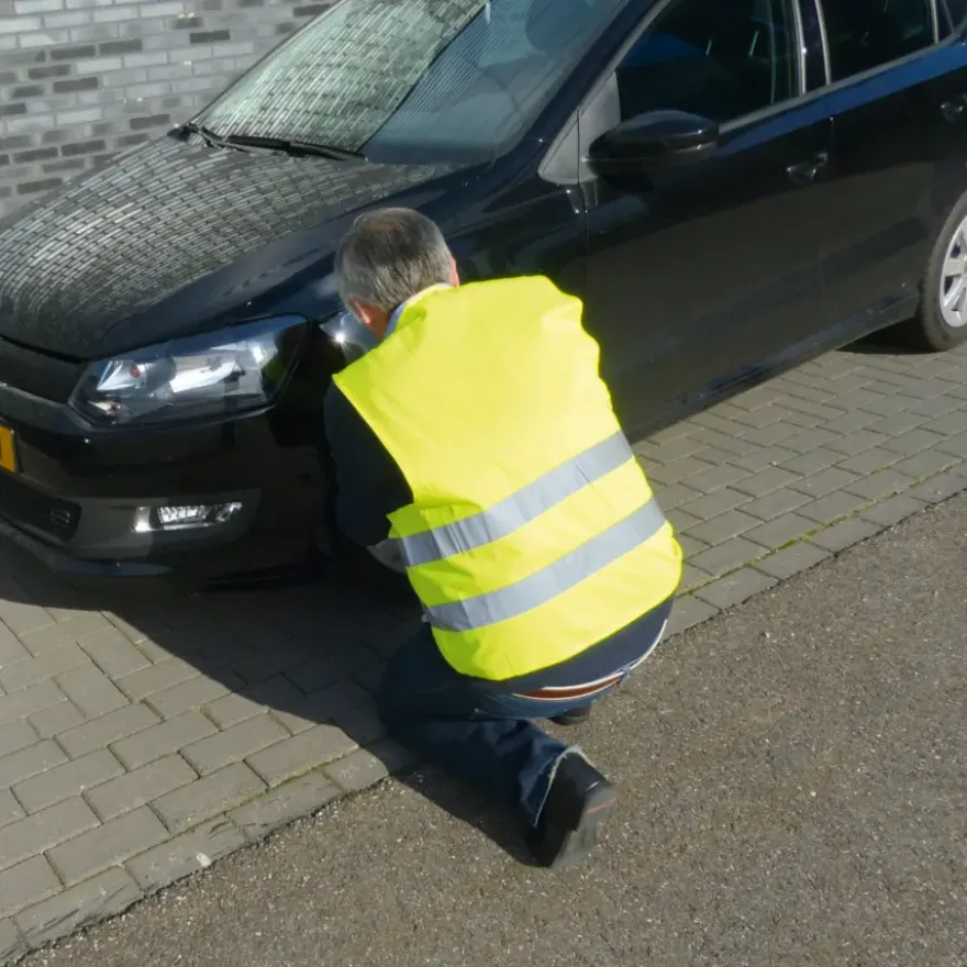 Carpoint Veiligheidsvest Oxford Geel XL
