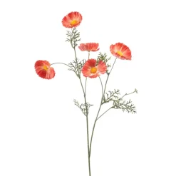 Cosmos spray oranje 70cm