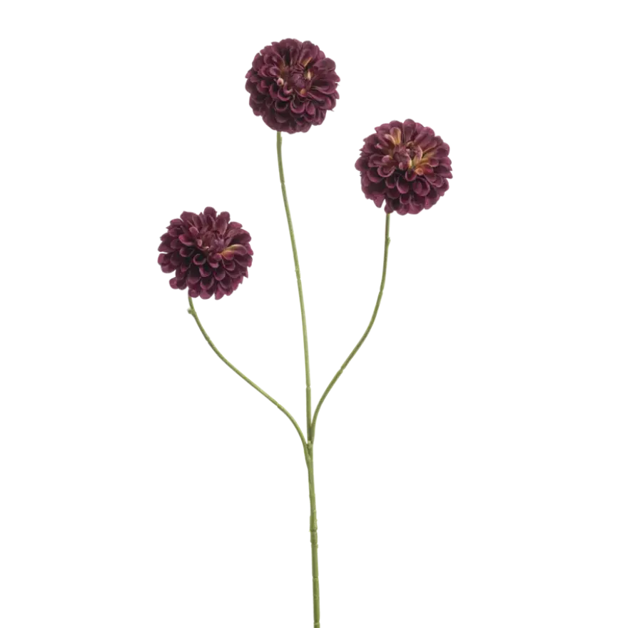 Dahlia pompom mini burgundy 68cm