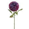 Dahlia pompom spray XL burgundy 77cm