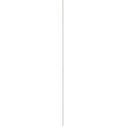 Decorlijst grenen 15x31 mm lengte 270 cm