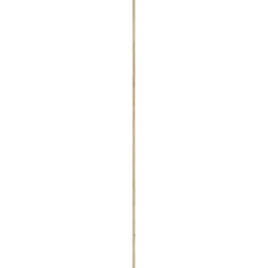 Decorlijst grenen 6x22 mm lengte 270 cm