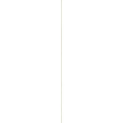 Decorlijst grenen 6x22 mm lengte 270 cm
