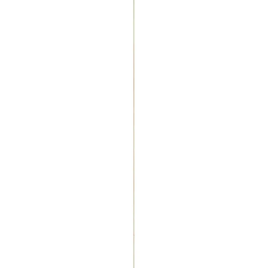 Decorlijst grenen 6x22 mm lengte 270 cm