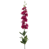 Delphinium spray fuchsia