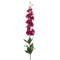 Delphinium spray fuchsia