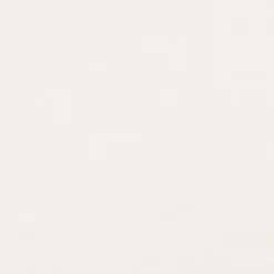 Dumaclip wand- en plafondpaneel PVC essen wit 2.4m2, afm. 120 x 25 cm