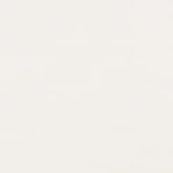 Dumaclip wand- en plafondpaneel PVC essen wit 2.4m2, afm. 120 x 25 cm
