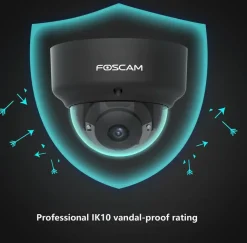 Foscam D2EP Zwart