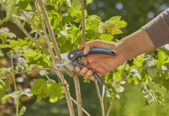Gardena snoeischaar PremiumCut voor vers hout met bypass-snede - 22 mm snoeidiameter