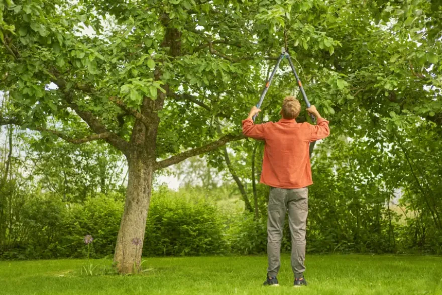 Gardena takkenschaar TeleCut Pro L bypass