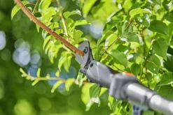Gardena 18V telescopische takkenschaar 2,5m (P4A) Incl. 2.0Ah accu + lader