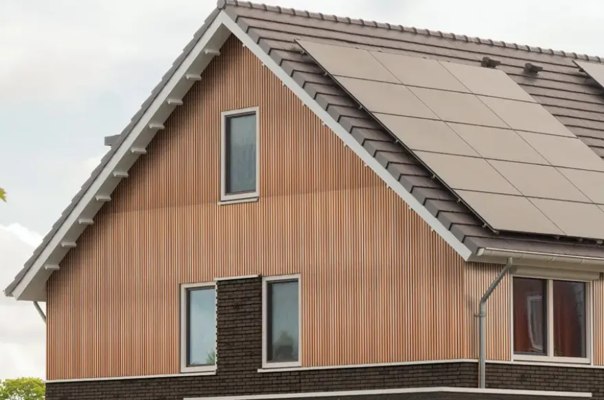 Gevelpaneel naturel 244x30cm dikte 12mm 2 stuks, 1,64m²