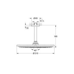 Grohe douchekop Rainshower Cosmopolitan hoofddouche plafond 1 stand ø 31 cm hard graphite