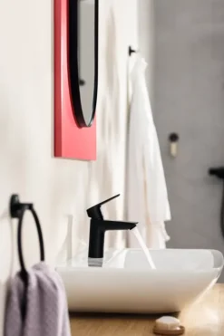 Grohe Handdoekhaak QuickFix Start Mat Zwart