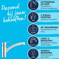 Grohe Quickfix keukenkraan Start uittrekbare Dual spray