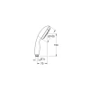 Grohe Vitalio Start handdouche Ø10 cm met 2 standen
