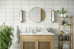 Haceka badkamerspiegel Deco geborsteld goud Ø 60 cm rond