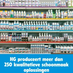 HG roestverwijderaar 500 ml