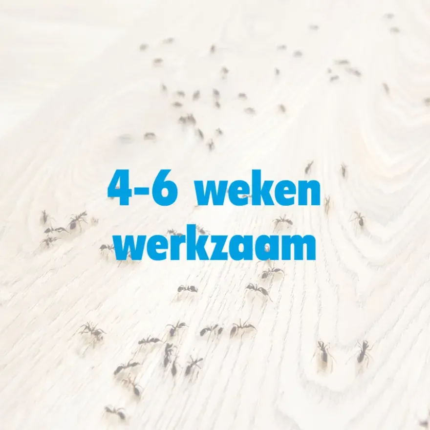 HGX spray tegen mieren 400 ml