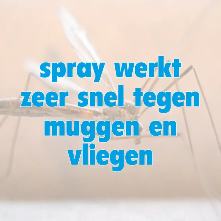 HGX spray tegen muggen en vliegen 400 ml