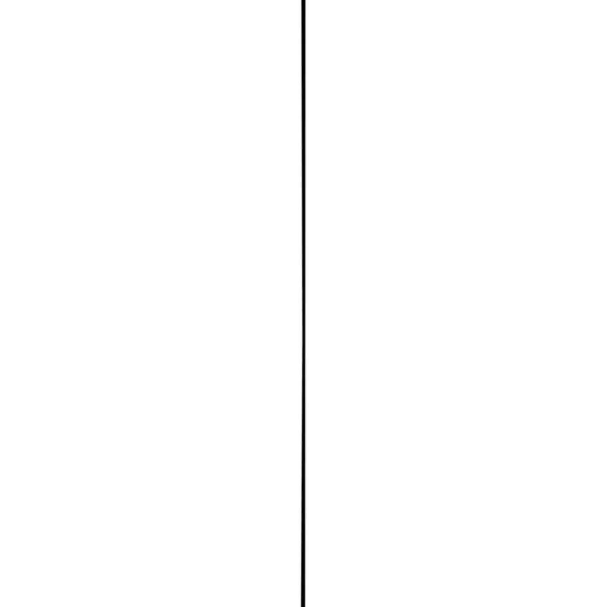 Hockeystickprofiel kunststof zwart 8x21 mm lengte 260 cm
