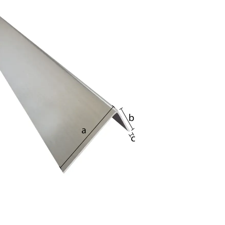 Hoekprofiel mat zilver aluminium 40x15x1x1000 mm