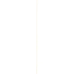Hollat grenen 22x22 mm lengte 270 cm